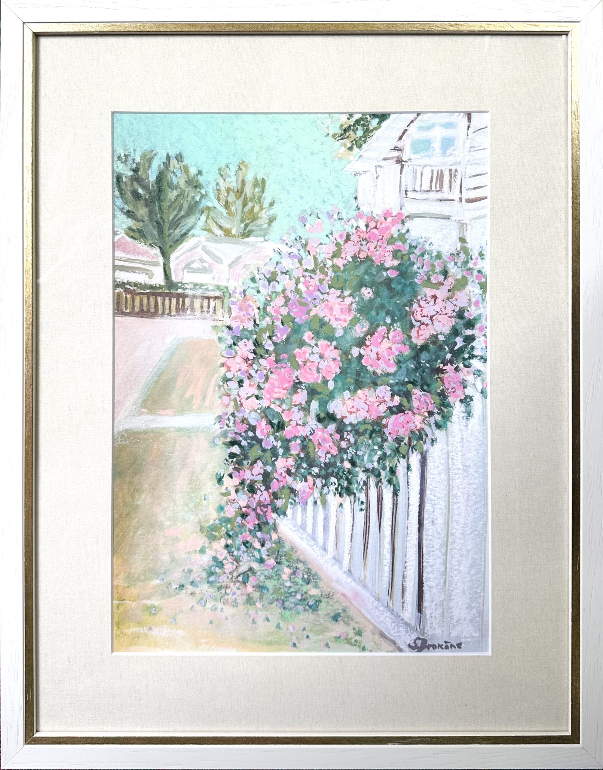 "Roses blooming in Jūrmala"